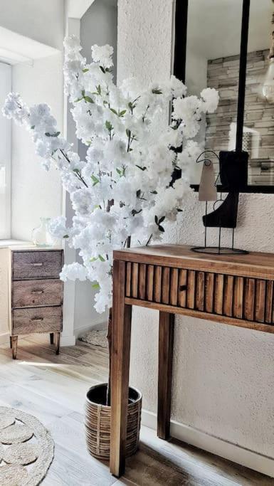 Appartement #New#Appart Cosy#Pied De La Cité#3 à Carcassonne Extérieur photo
