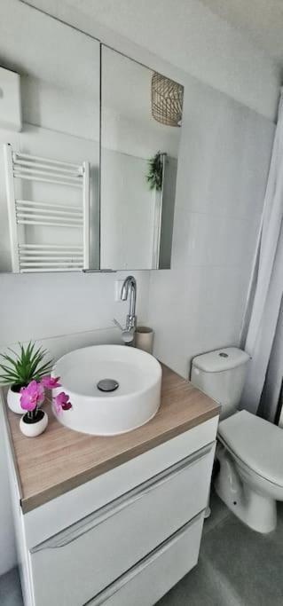 Appartement #New#Appart Cosy#Pied De La Cité#3 à Carcassonne Extérieur photo
