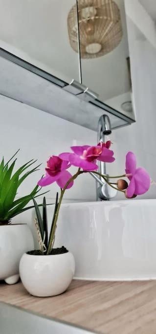 Appartement #New#Appart Cosy#Pied De La Cité#3 à Carcassonne Extérieur photo